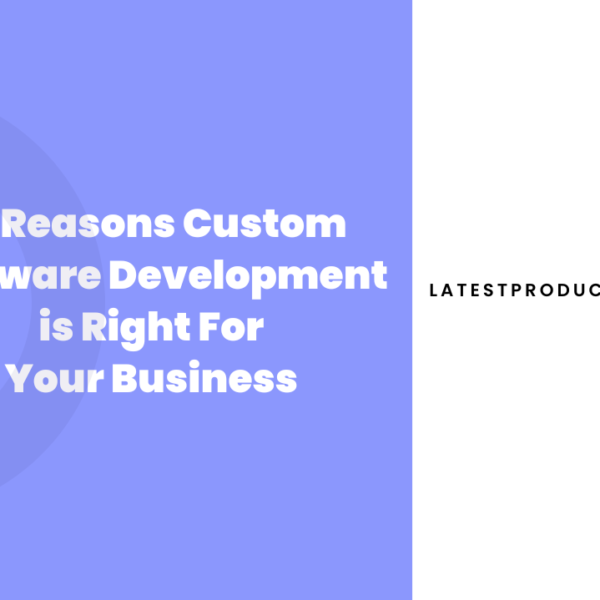 12 Reasons Custom Software Development is Right For Your Business